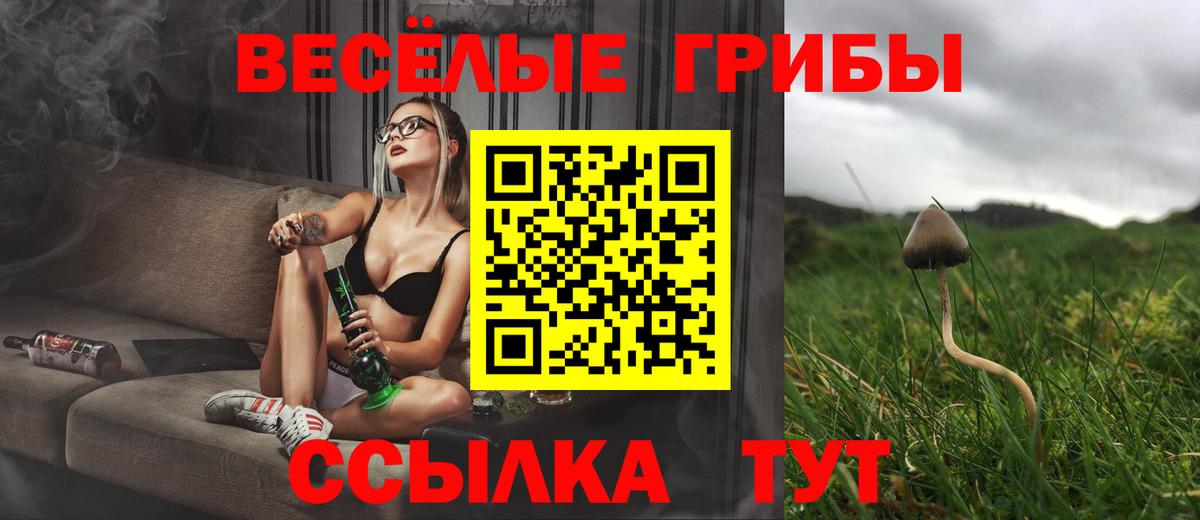 наркотики  Вход с VPN  Галлюциногенные грибы ЛСД  Кинель  Галлюциногенные грибы GOLDEN TEACHER 